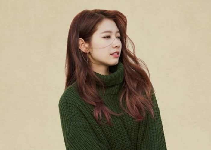 Park Shin-Hye's Roles